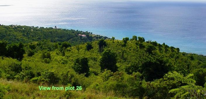 Image No.7-Terre à vendre à Frederiksted