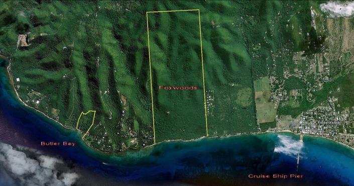 Image No.12-Terre à vendre à Frederiksted