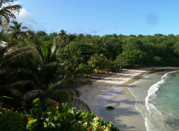 Image No.4-Commercial de 15 chambres à vendre à Grenville