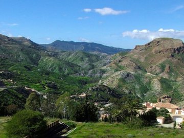 imagen6
