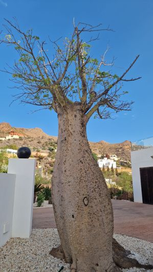 Image No.10-6 Bed Property for sale