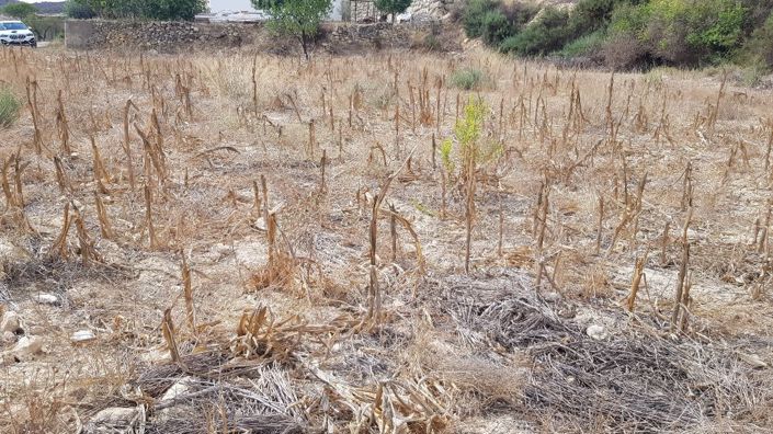 Image No.2-Property for sale