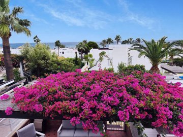 155e4490-b223-4683-8c49-7fd59d3b6ee9