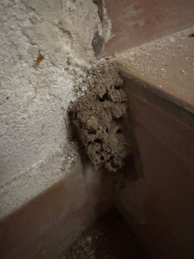 Image No.11-2 Bed Townhouse for sale