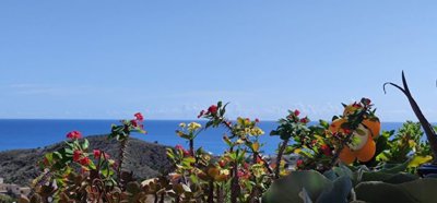 whatsapp20image202026-03-1820at20135519201