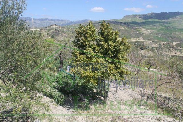 Image No.2-2 Bed Villa for sale