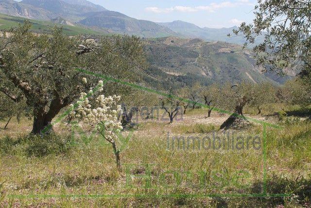 Image No.6-2 Bed Villa for sale