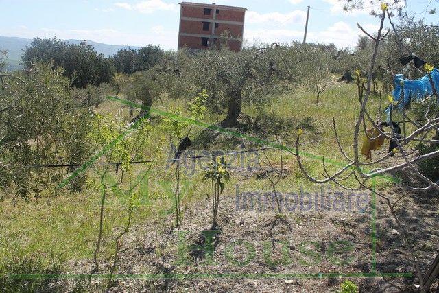 Image No.3-2 Bed Villa for sale