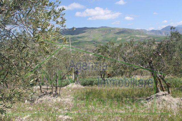 Image No.24-2 Bed Villa for sale