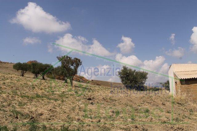 Image No.10-Villa de 3 chambres à vendre à Cianciana