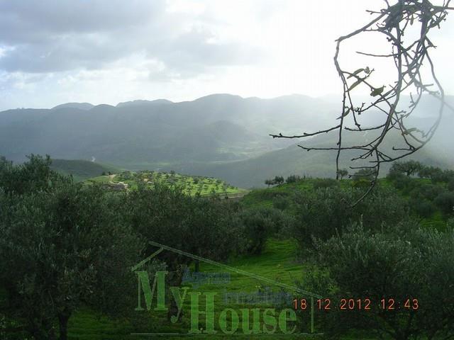 Image No.9-Maison de campagne de 1 chambre à vendre à Cianciana