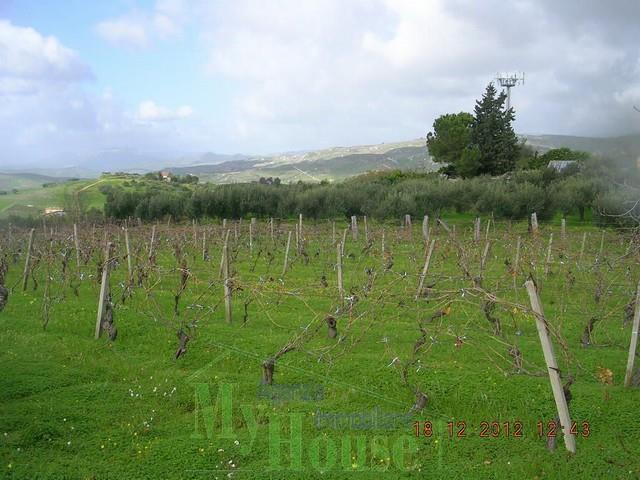 Image No.10-Maison de campagne de 1 chambre à vendre à Cianciana