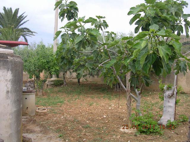 Image No.9-3 Bed Villa for sale