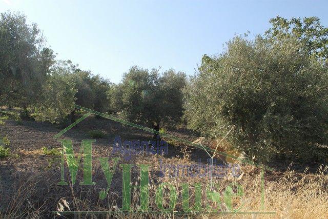 Image No.8-Villa de 3 chambres à vendre à Alessandria della Rocca