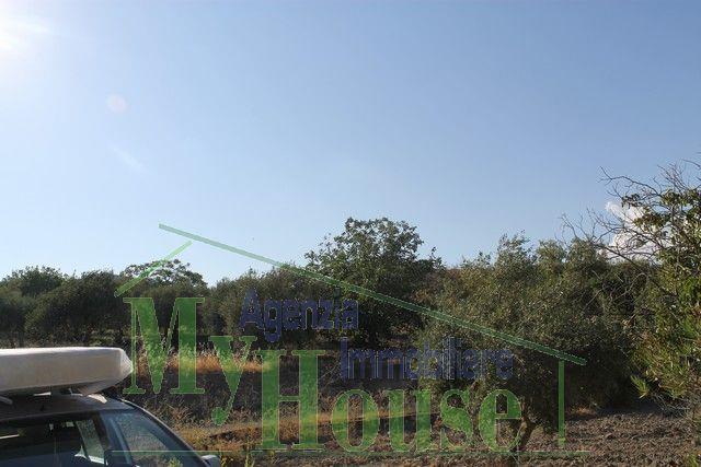 Image No.4-Villa de 3 chambres à vendre à Alessandria della Rocca