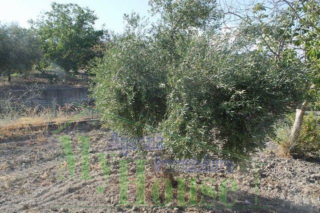 Image No.5-Villa de 3 chambres à vendre à Alessandria della Rocca