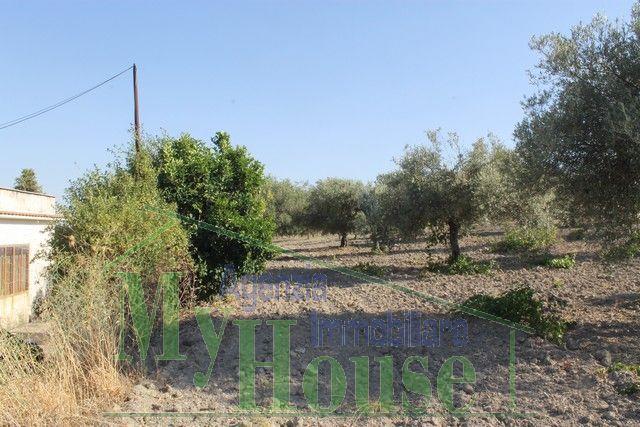 Image No.12-Villa de 3 chambres à vendre à Alessandria della Rocca