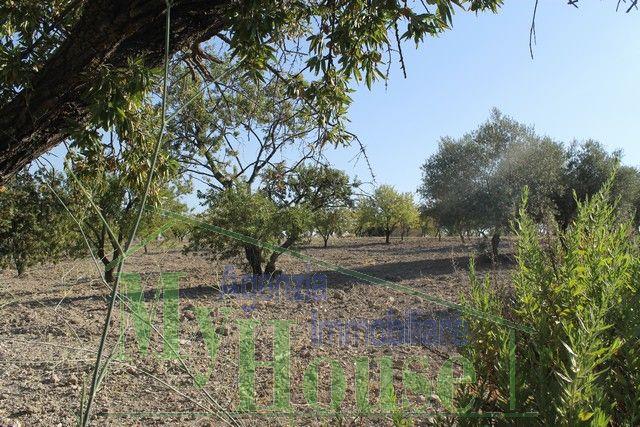 Image No.18-Villa de 3 chambres à vendre à Alessandria della Rocca