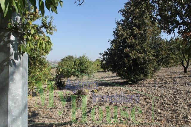 Image No.17-Villa de 3 chambres à vendre à Alessandria della Rocca