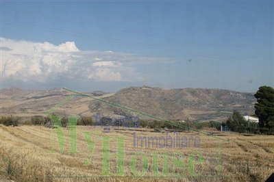 IMG_45