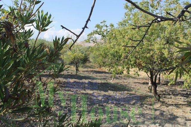 Image No.29-Villa de 3 chambres à vendre à Alessandria della Rocca