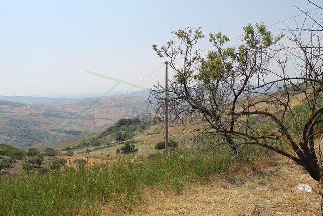 Image No.7-Villa de 3 chambres à vendre à Cianciana