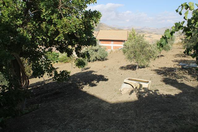 Image No.21-Villa de 3 chambres à vendre à Cianciana