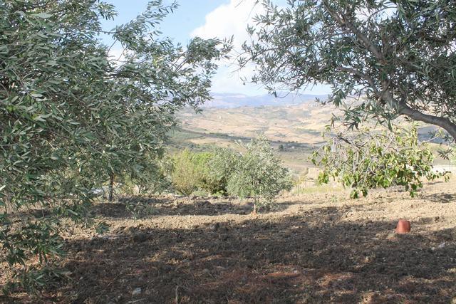 Image No.23-Villa de 3 chambres à vendre à Cianciana