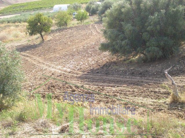 Image No.3-Villa de 3 chambres à vendre à Naro