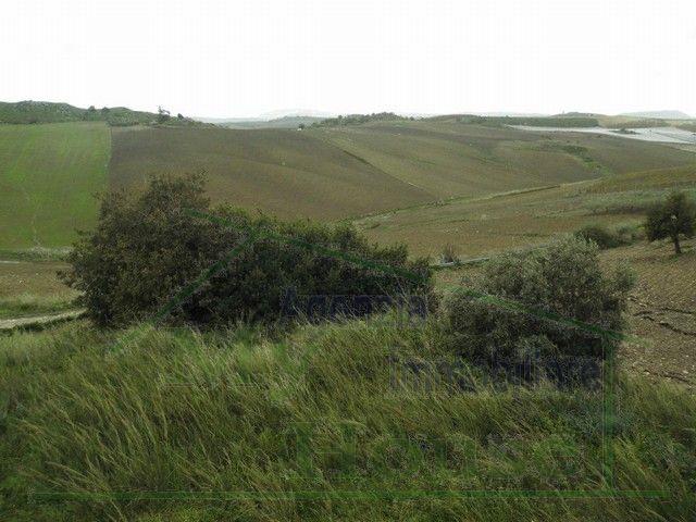 Image No.17-Villa de 3 chambres à vendre à Naro