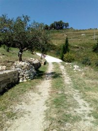 IMG_20180901_133305