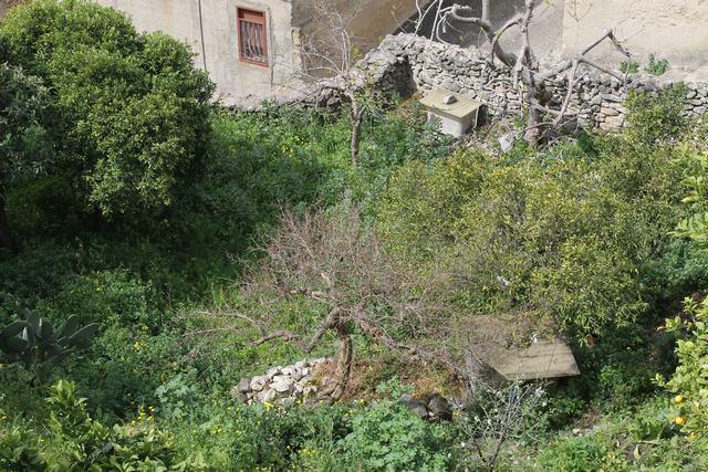 Image No.21-Maison de 3 chambres à vendre à Burgio