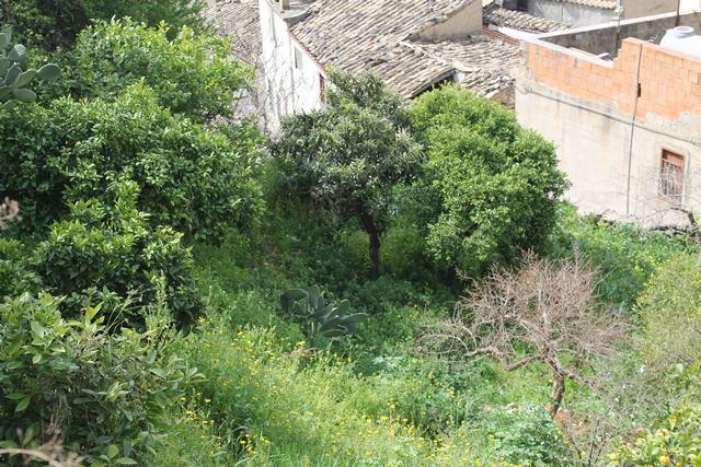 Image No.22-Maison de 3 chambres à vendre à Burgio