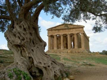 tempio-della-concordia
