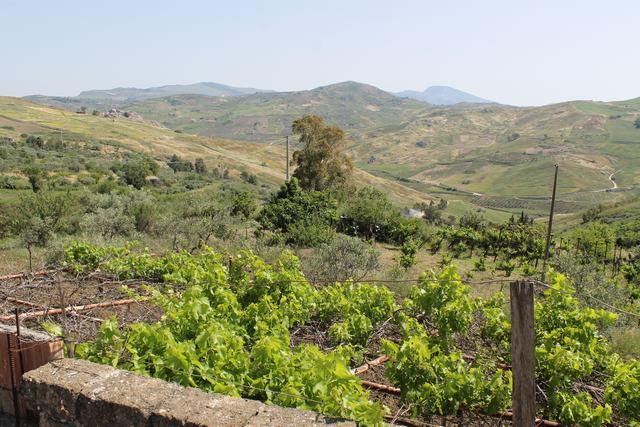 Image No.11-2 Bed Country House for sale