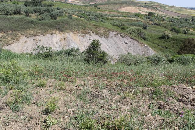 Image No.18-2 Bed Country House for sale