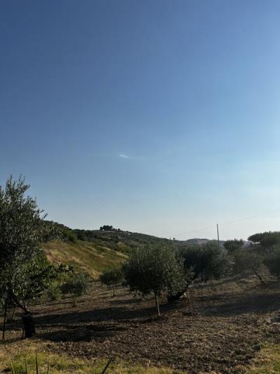 Image No.4-2 Bed Villa for sale