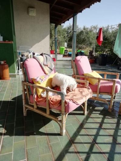 Image No.5-3 Bed Villa for sale