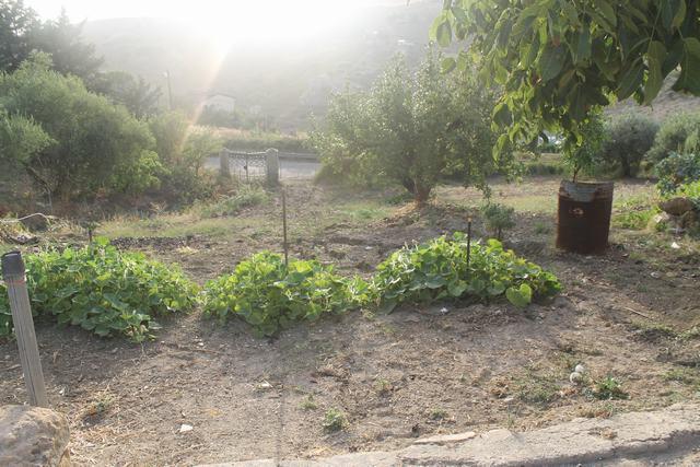 Image No.31-2 Bed Villa for sale