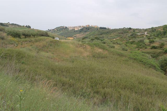 Image No.4-Terre à vendre à Cianciana