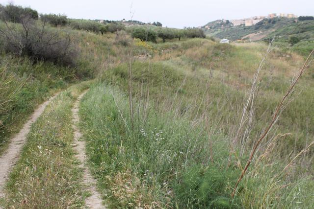 Image No.5-Terre à vendre à Cianciana