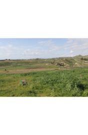 panoramic-seaside-land-teresa-torre-salsa-ag--2-
