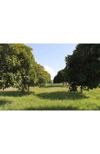 Image No.6-Land for sale