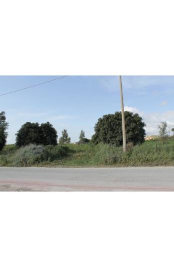 Image No.15-Land for sale