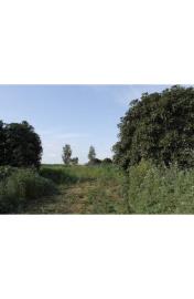 panoramic-seaside-land-teresa-torre-salsa-ag--16-