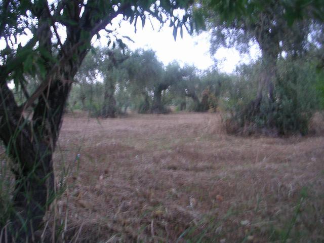 Image No.3-1 Bed Country House for sale