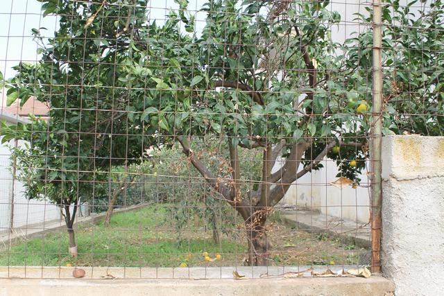 Image No.9-Maison de 4 chambres à vendre à Cianciana