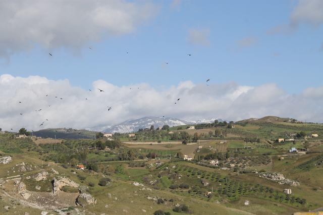 Image No.4-2 Bed Townhouse for sale