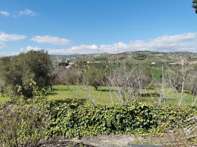 Image No.14-1 Bed Country House for sale