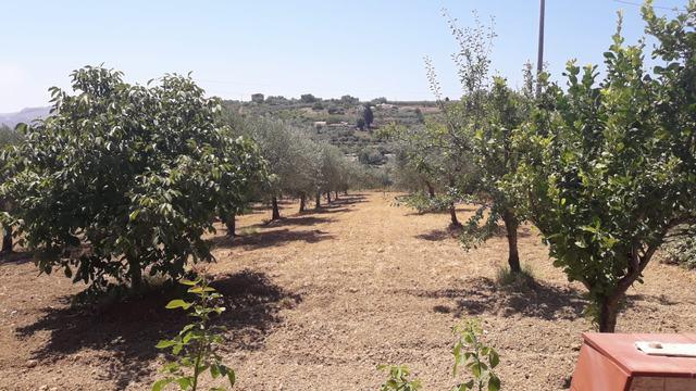 Image No.5-3 Bed Villa for sale